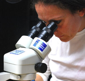 Conservator working under magnification on the face of Manuel Domínguez’s portrait during restoration.